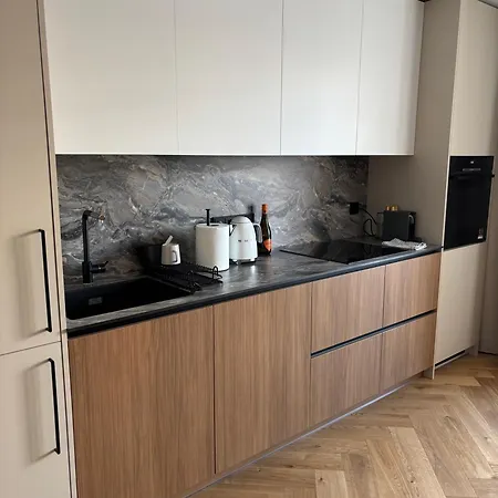 Exclusive 2 Bedroom Trendy Center, Large Terrace & Free Parking Apartment Vilnius